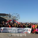 칠성관광여행사 이미지