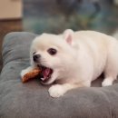 살롱드삐삐 이미지