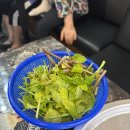 세븐일레븐 공주신관프라자점 | [공주 맛집] 냉삼 껍데기 찐 맛집! 번영집 — 레트로 감성 한가득한 공주 맛집 💕