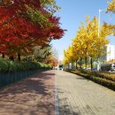 개포신원공인중개사사무소 이미지