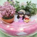 치유원예테라피 이미지