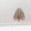 ㅂㅂㅂㅂ 이미지