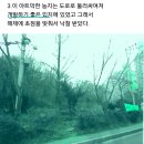 해제에 초점 맞춘 근린공원 농지 이미지