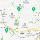 용인대 대동 태권도 이미지