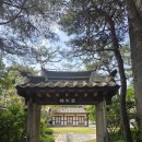 나무Ⅰ | 하남 한채당 돌잔치 후기Ⅰ한옥 정원과 소규모 가족모임