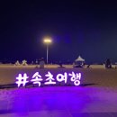 돌아온속초홍게 네이버블로그