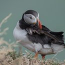 스피드인터넷 이미지