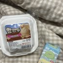 이마트24 수완지구점 | 광주 소품샵 :: 광주 수완지구 무인 소품샵 마이엔(maien) 2호점 내돈내산 스퀴시 구매후기 !