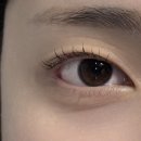 피오디스튜디오