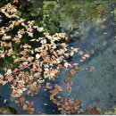 삼성산터널길 이미지