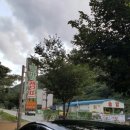 솔밭캠프 이미지