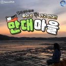 배낚시체험(만대마을) 네이버블로그