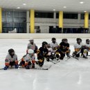 슈퍼비 스포츠 클럽 이미지