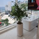 당신의안목 이미지