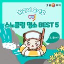 반달섬PC | [하와이 여행]하와이 스노클링 투어, 오아후 스노클링 명소 BEST5