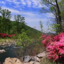섬진강변 철쭉길 | 섬진강변 철쭉길, 자연 속의 아름다움을 느껴보자