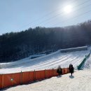 신기새마을영농조합법인 | 겨울여행지 청양 알프스마을 얼음축제 기간, 입장료, 할인, 주차, 평일 방문 후기