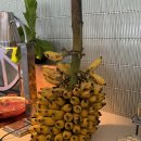 다이닝데이 이미지