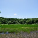 물영아리오름 이미지