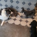 마깨비PC 이미지