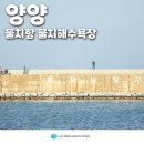 낭만가도 비치 물치 | 양양 회포장 물치항 회센터 양양 바다 먹거리 물치해수욕장