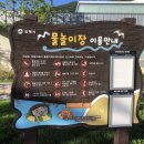 율하2지구_솔마루공원물놀이장 이미지