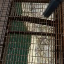 제501차2/10(토)기백산악회 원주 소금산 출렁다리 및 단양 만천하스카이워크,느림보데크로드탐방 이미지