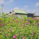 우석농장 이미지