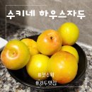 하우스 자두 첫 출하 상큼 새콤 싱싱 후무사자두 수키네