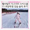 웰리힐리파크스키강습아카데미 | 웰리힐리파크 스키강습 초등학생 시그너리 스키스쿨 솔직후기