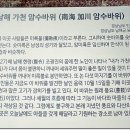 홍현해라우지마을 이미지