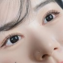 안양 범계역 인생 속눈썹펌 노글루펌 맛집 ‘연브로우즈’ 반영구 네일 패디샵 방문 후기 +할인쿠폰 꿀팁