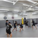 MMA주짓수 이미지