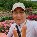 주식회사 송이산업 | 제15회 울산대공원 장미축제_장미향기에 취하다 '23.5.26 (금)