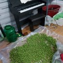 태호네농장 이미지