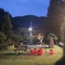 초이지아 이미지