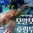 투어324
