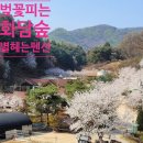 화담펜션 이미지