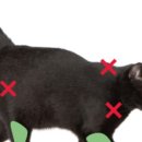 5층우리약국 이미지