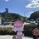 핑크닉 | [북서울꿈의숲] 핑크 한교동 아이시스 핑크닉 팝업 방문 후기
