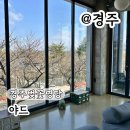 2297 | 경주 보문단지 카페 벚꽃 명당 브런치 카페 야드 후기