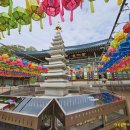 할머니순두부 이미지