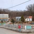 능골천 Daum카페