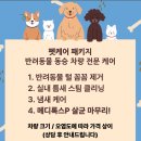 하나카세차장 | 세종 세차장 추천 예일카워시 내돈내산 후기 :: 스팀세차 디테일링, 중고차 첫 세차 성공!