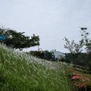 목포는항구다
