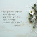 공드리움