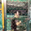 지코당구클럽 이미지