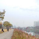 갈숲마을 | 경부선따라 대구역~칠곡