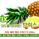 골드파인 이미지