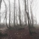 파플레이골프클럽 이미지